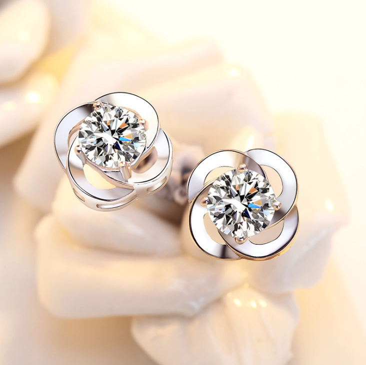 Load image into Gallery viewer, silver earrings
